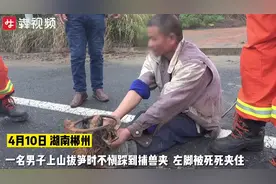 痛！登山踩到捕兽夹，消防员也中招图片