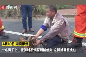 痛！登山踩到捕兽夹，消防员也中招图片