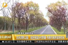 合庆郊野公园：完好保留乡村野趣 市民村民共享好时光视频封面