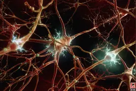 为逐暴利诊所偷着干美容忽悠干，“干细胞治疗”黑市日渐猖獗图片