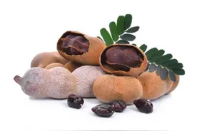 生活中适当多吃以下这3中食物，能够很好的帮助稳定脂肪肝图片