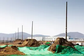 威海市环翠区：电线杆“搬家记”图片