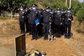 云南11岁功勋缉毒警犬“葬礼”，另一只警犬守着不愿离去视频封面