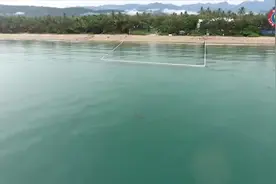巨大咸水鳄在昆士兰一处海滩出现 海滩被迫关闭图片