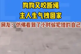 狗狗咬断绳，主人生气拽回家，网友：仿佛看到了小时候犯错的自己图片