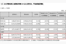 业绩说明会苏泊尔自揭海外业务“老底”：已成SEB集团代工厂 自主品牌外销甚少图片