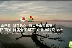 奔跑赏梨花！鞍山首届梨花山地马拉松准备就绪图片