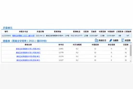 西海岸宸悦府128套住宅拿预售，参考价11174元/㎡起图片