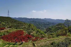 把“数字化”服务送到群众身边图片