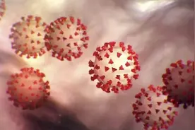 新加坡研究人员：新冠肺炎康复者或因免疫反应过度活跃增加血栓风险，更易引发心脏病或器官衰竭图片