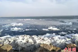 气温偏高致中国最大内陆咸水湖完全解冻图片