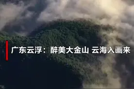 千城胜景|广东云浮：醉美大金山 云海入画来