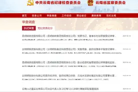 千亿国企惊现“窝案”，云南昆钢一天内18人被查图片