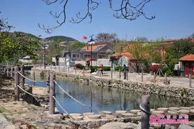 “见证青岛”｜青岛西海岸新区，岂止于“新”？图片