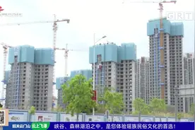 住建部约谈广州东莞等五地后 3月东莞一手房均价跌16%视频封面