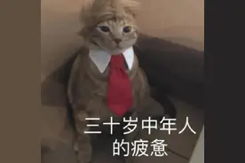 开车累了千万不要强撑！他们都被这个错误害惨了......图片