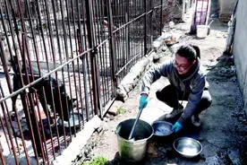 救助流浪动物14年 39岁青岛嫚于君独自一人苦支撑图片