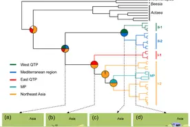 研究为亚洲三大高原隆升历史提供生物学证据图片