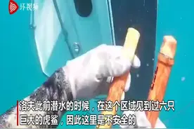 澳大利亚潜水员遭遇翻船事故 在鲨鱼出没海域滞留三小时图片