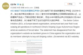 瑞士良好棉花发展协会（BCI）官网下架“抵制新疆棉花”声明图片