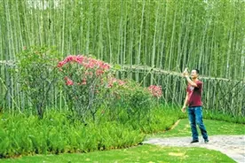 海口解放西竹林片区改造提升项目近期将开放图片