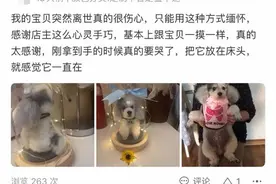 “我的毛孩子又回来了！”85后宝妈在淘宝复刻离世宠物，网友泪崩：太治愈了图片