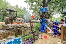 长隆新生小象喜迎“桂”客 与游客玩泼水大战庆“三月三”图片
