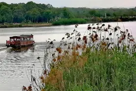 视频｜成都：青龙湖，离市区最近的一个洗肺圣地图片