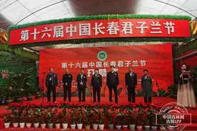 第十六届长春君子兰节启幕 云平台直播市花争奇斗艳图片
