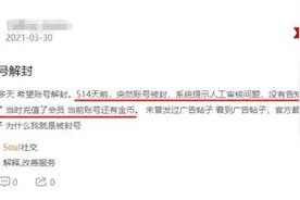 合伙人恶意举报对手、平台频现“杀猪盘”，Soul何以守护“灵魂社交”招牌？图片
