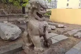 安丘修桥工地挖出一只石狮子，初步推测是清代之物图片