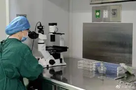 9.8万元一针！干细胞治疗黑市日渐猖獗图片