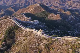 “雪”戴青山艳四野，长城野杏花迎来最佳观赏季图片