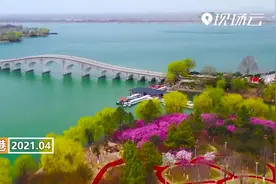 连云港：梅花绽放齐争艳 花香扑鼻醉游人视频封面