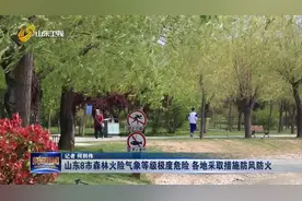济南等8市森林火险气象等级极度危险,各地多措并举防患于未“燃”视频封面