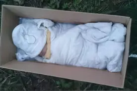 云求助｜四川绵竹一河边发现疑似被遗弃男婴 民警急寻知情人图片