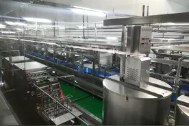 明星村的新气象｜南街村：创新赋能再出发图片