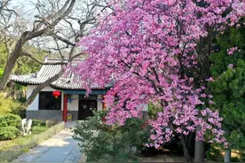 周末出去玩！蓬莱阁汉服研学、欧乐堡门票优惠、两日自驾游...快快约起来吧！图片