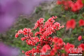 人生中总会有一段艰难的路，需要自己走完，没人帮助，没人陪伴图片