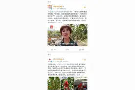 凉山樱桃滞销？专家实地走访揭秘真相图片