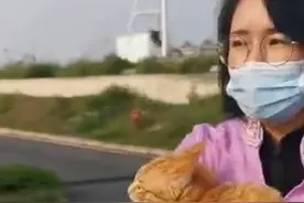 雷神山流浪小奶猫一年后成胖橘！名字更霸气：雷神喵图片