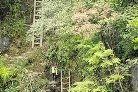 爬悬崖天梯上学的湖南兄妹，因一张照片感动中国，如今他们过得怎样了？图片