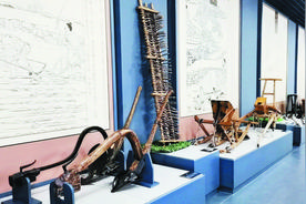 忻州杂粮的秘密在这里图片