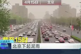 北京下起泥雨视频封面