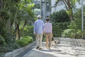 女子与狗深夜双双落水，竟因遛狗时做错了一件事……图片