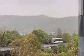 萌翻了！网友在璧山发现可爱的“迷你轻轨”，大家叫它“猪儿虫”图片