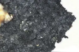 从三星堆考古新发现说起——试论古代巴蜀与南亚的文化互动和融合图片