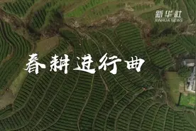 微视频｜春耕进行曲图片