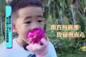 前方名场面：偶像包袱碎一地！陈小春儿子秒变香肠嘴视频封面
