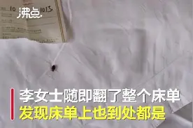 一四星级连锁酒店被曝虫子爬满床 回应称：这就很简单的事情，就一个虫子图片